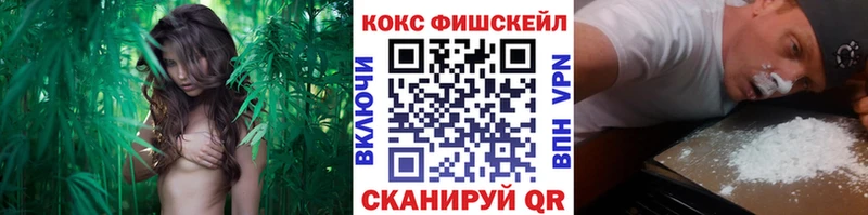 Cocaine Колумбийский как найти наркотики omg ONION Благовещенск