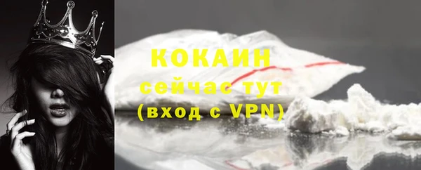 гашик Белокуриха