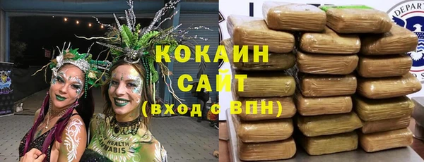 гашик Белокуриха