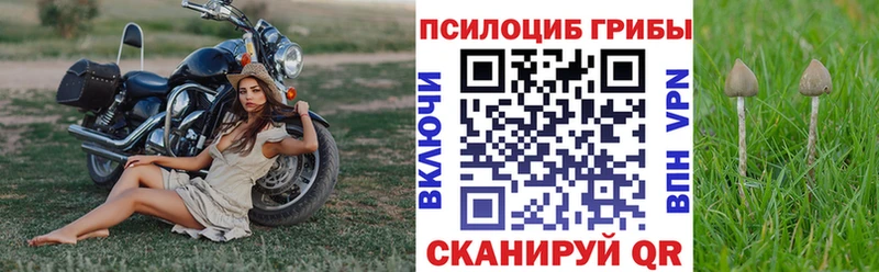 сайты даркнета какой сайт  Благовещенск  Псилоцибиновые грибы Magic Shrooms 